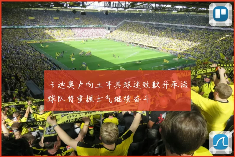 卡迪奥卢向土耳其球迷致歉并承诺球队将重振士气继续奋斗